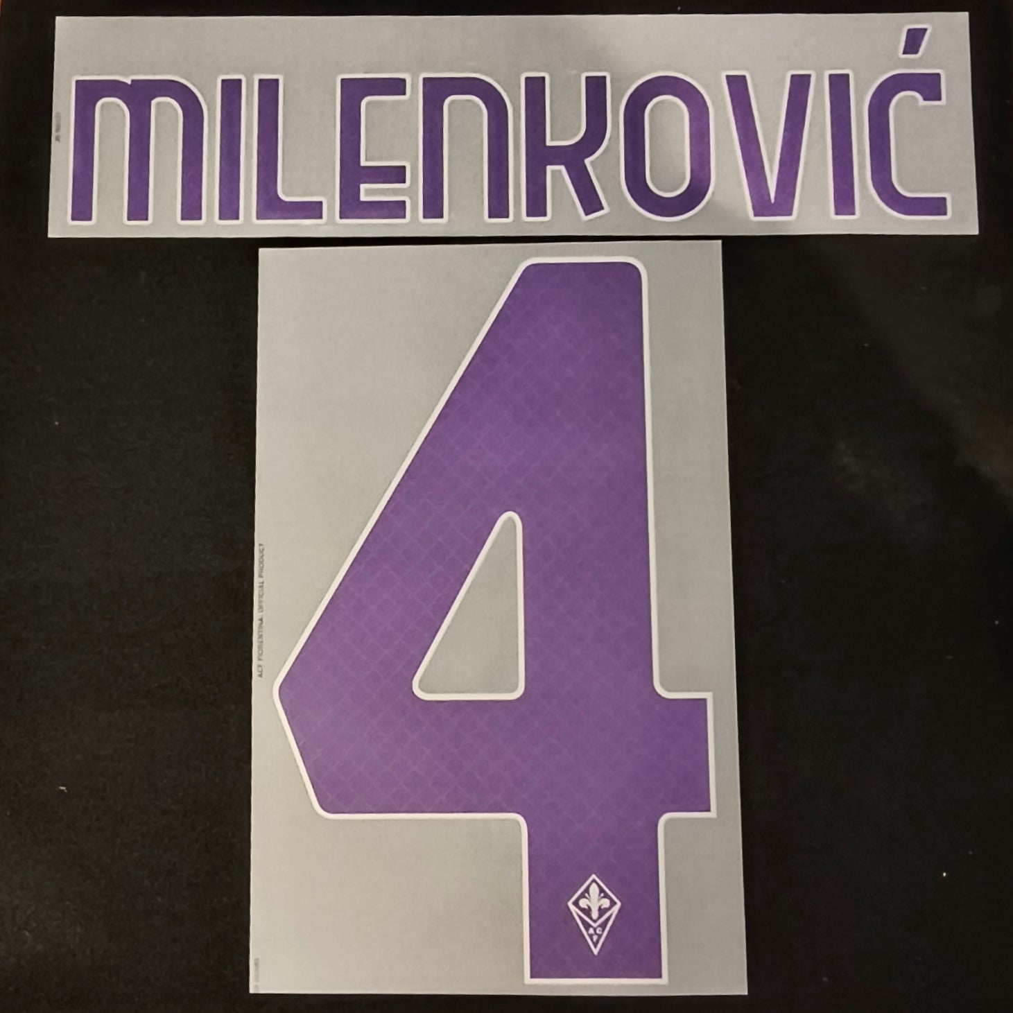 Milenkovic nameset AC Fiorentina